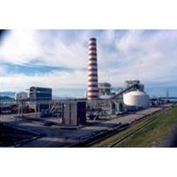 Biogas Generation Power Plant